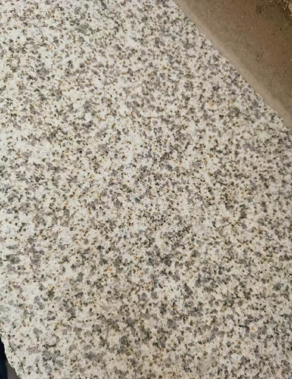 双鸭山 黄金麻中黄光面