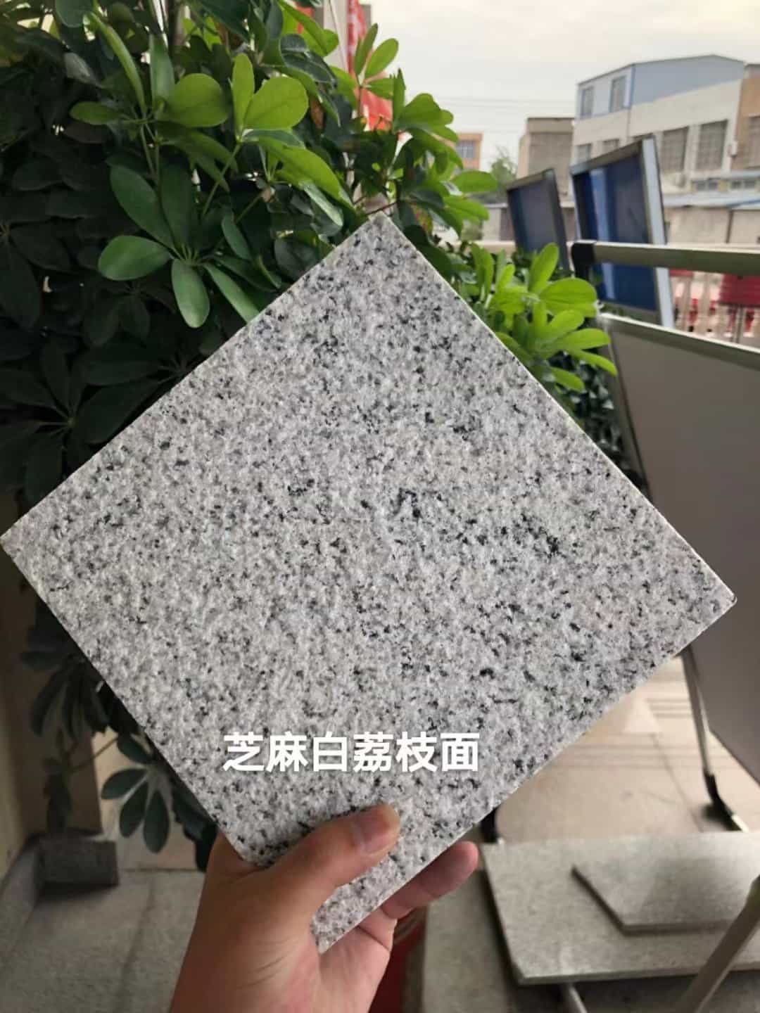 双鸭山 芝麻白荔枝面干挂